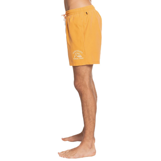 Quiksilver Ανδρικό μαγιό Surfwash 15" - Swim Shorts for Men